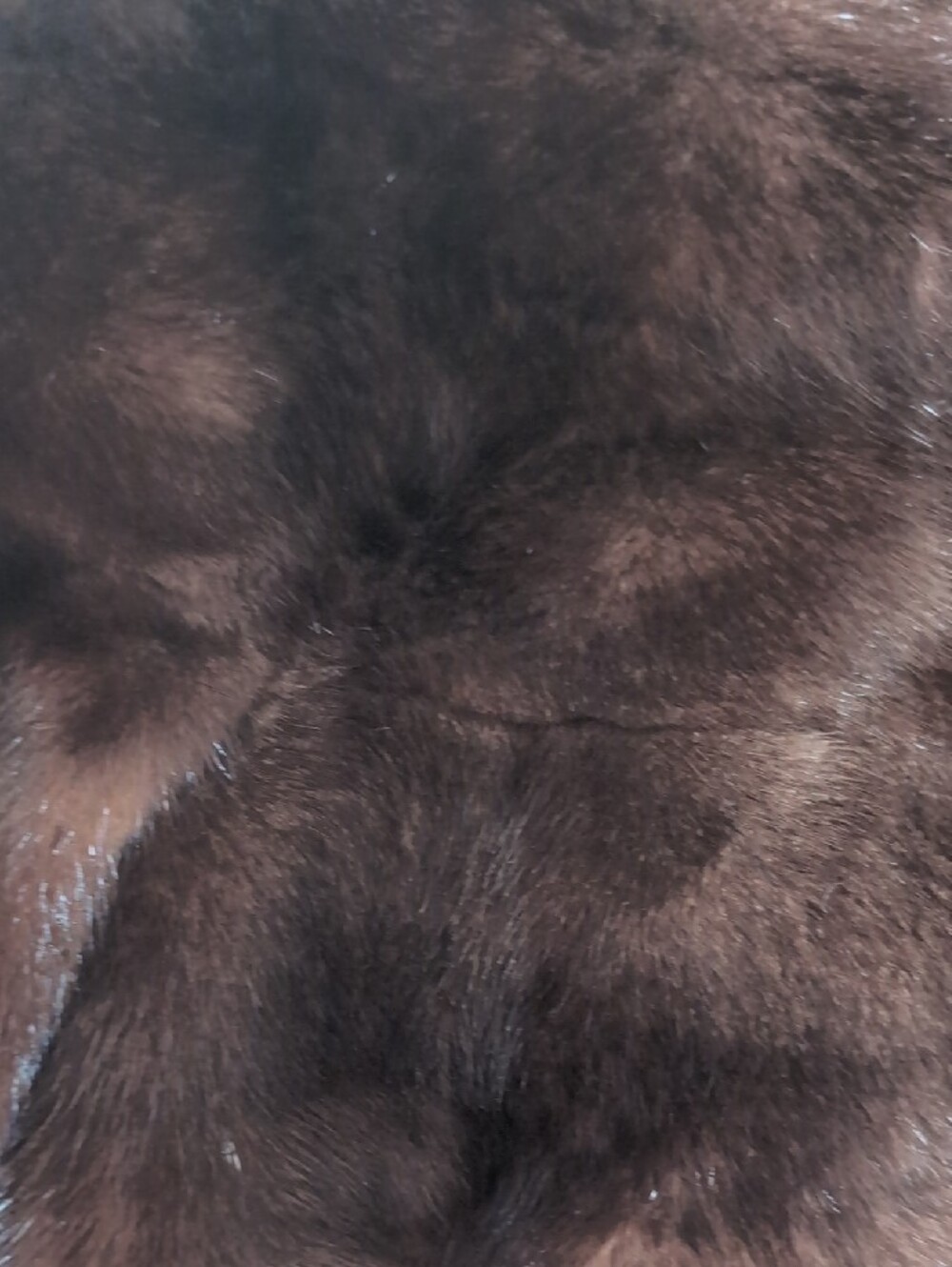 Cropped Fur Jacket - Picture 9 of 10